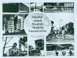 Mill pamphlet